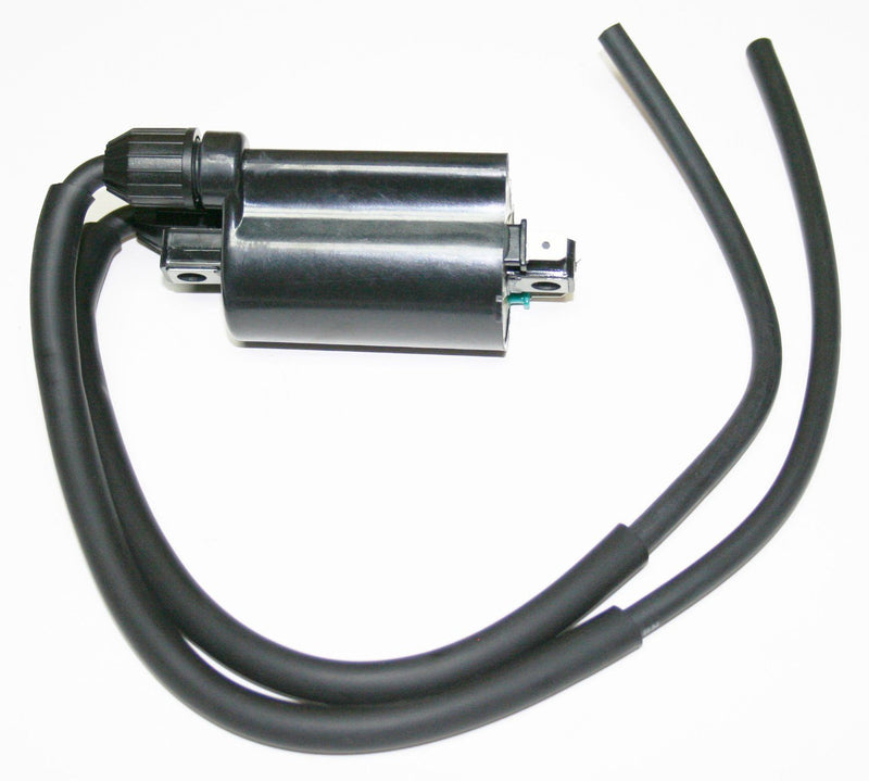 Ignition Coil - Goldwingparts.com