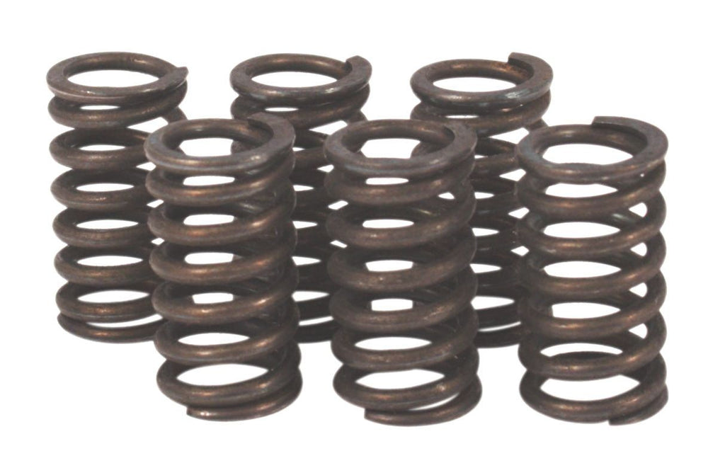 Clutch Spring Kit - Goldwingparts.com